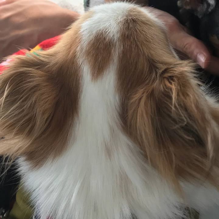 7b30d928 3616 45ee a7df 56365a855c70 1569157528955