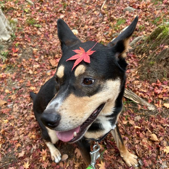 7b3124e3 9c8d 44fe a56d 8e506f02315b 1574847755375