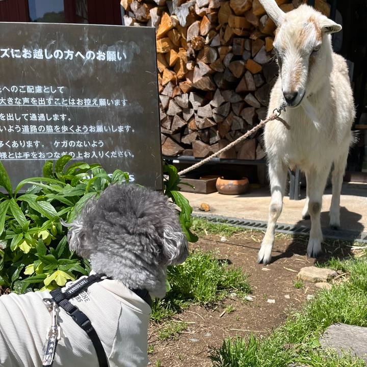 7b317dc8 ebfb 4ed8 baf0 ed74fbcf6c3d 1775883037979