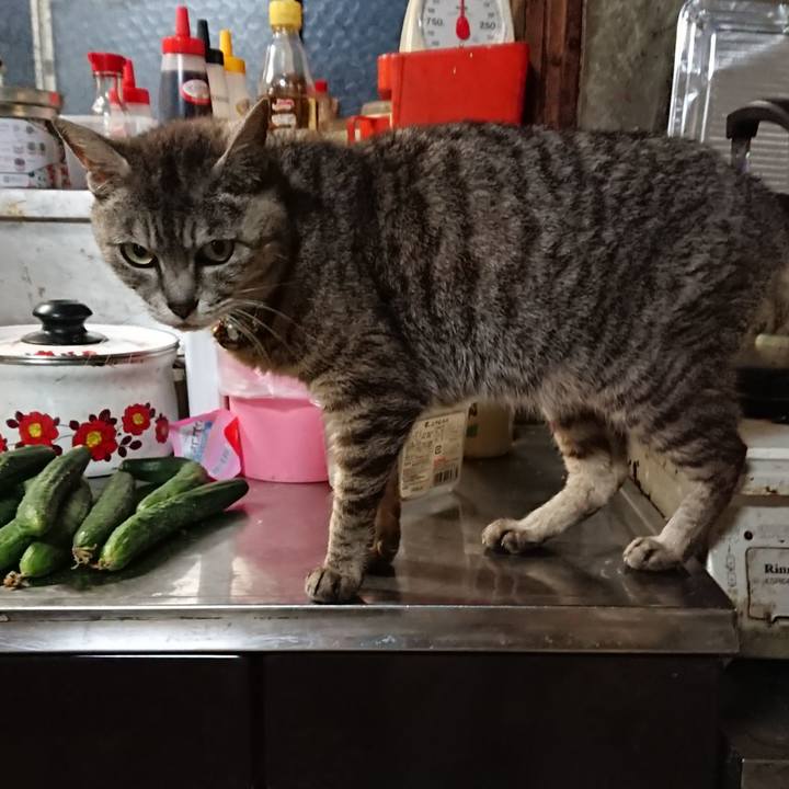 7b318651 f71f 4ed5 9db1 db763c833de6 1563791051408