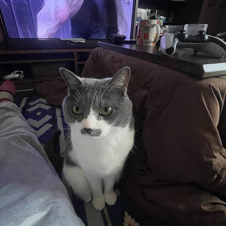 7b3186cf 9921 4347 9472 0266d6738c83 1678781676440