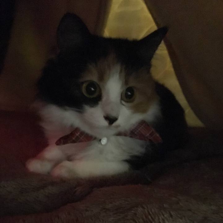 7b3198e2 8f1b 416d 8aa3 91ef13765abc 1512739488676