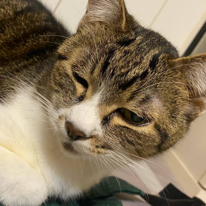 7b31b066 632e 485a aae7 81fc98016f56 1622483405666