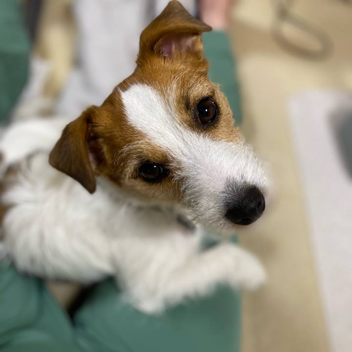 7b31cb25 ef93 457b 82e5 f52fc3caa5bb 1690204646854