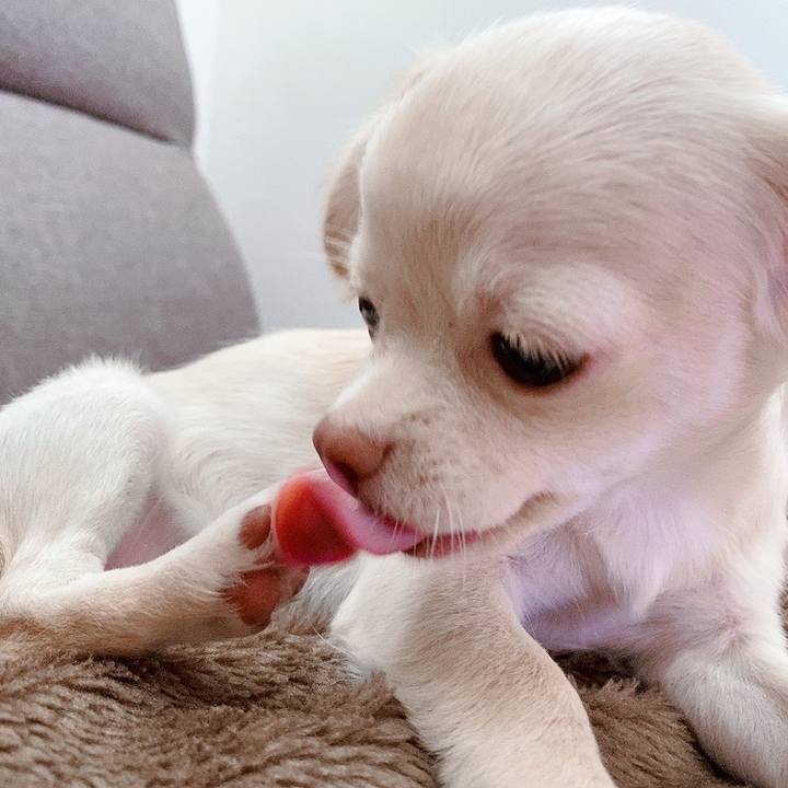 7b31cf6e 934d 4b84 bfd6 d2d1f143ef9b 1594271191703