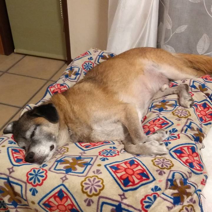 7b31d978 e6c2 47ea 8608 704b5d590249 1574556558628