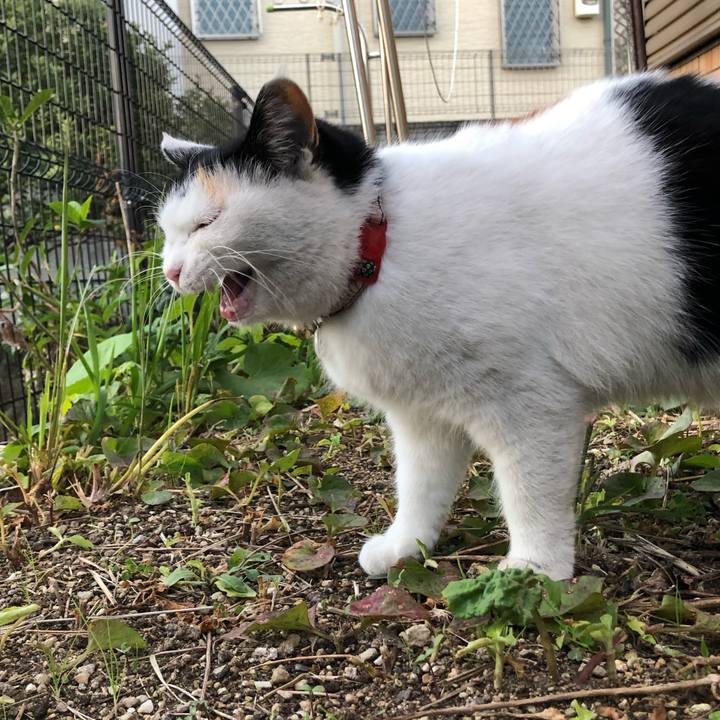 7b31f48d 554b 4488 8552 1ec6c3c46cca 1607120688811