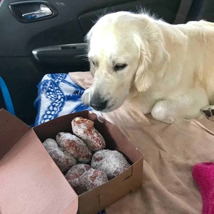 7b31fff9 f904 452f bf23 0364606f0674 1542957326533