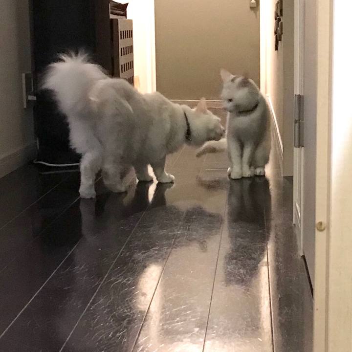 7b321373 70c2 4846 b219 2e6ec94bb1fd 1578826011434