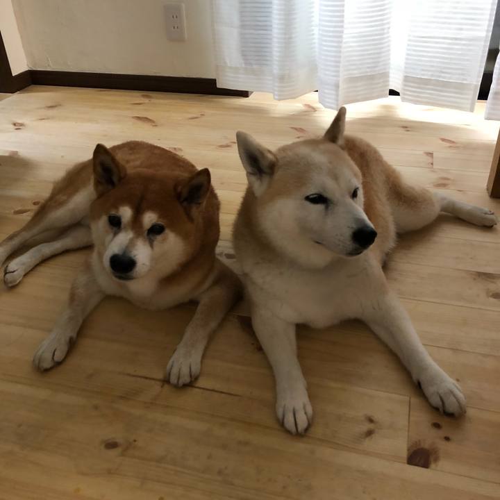 7b32159c ed70 406a a978 5aaa404c6548 1535774212949