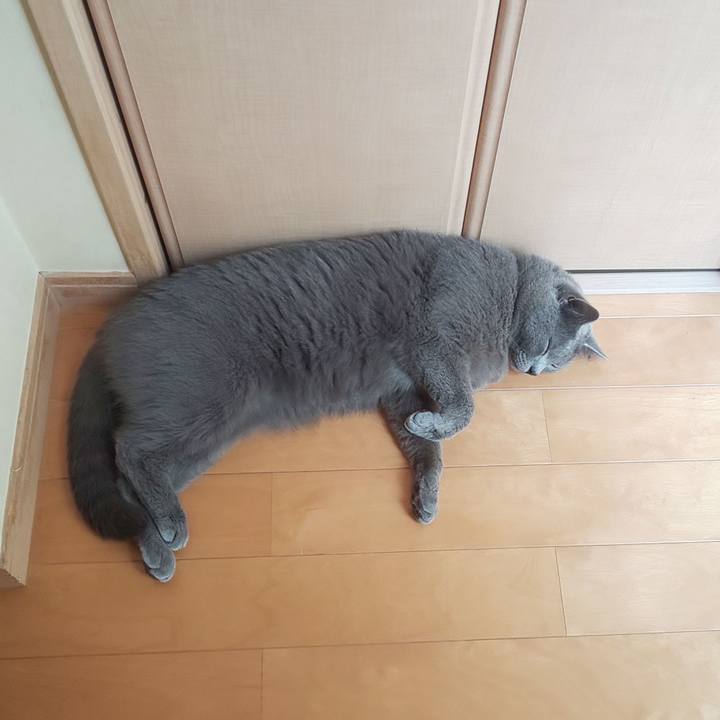 7b32358d d162 48f0 8589 997c3e05a561 1563431936366