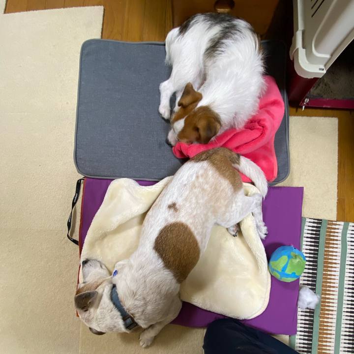 7b32a374 1fbc 4eab 8ce1 58fe14d7e4f0 1636982349474