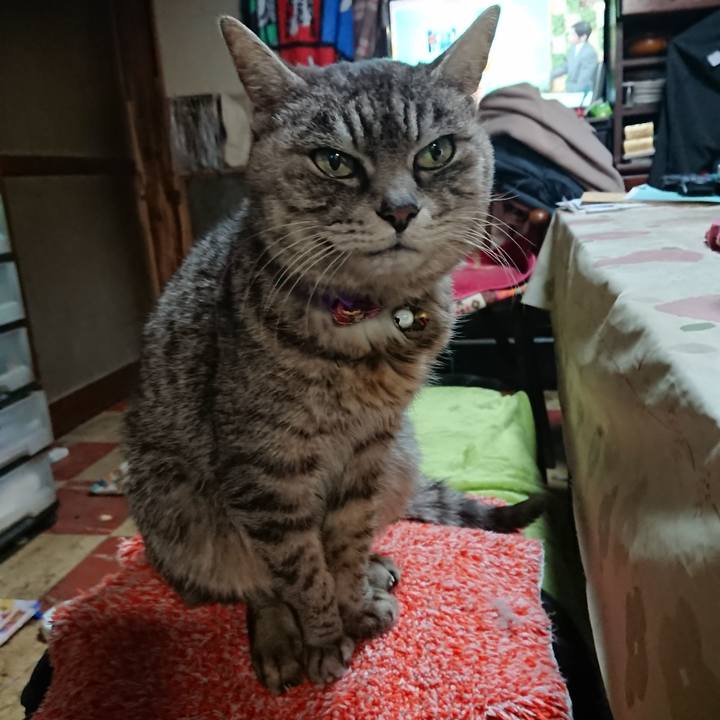 7b32b33c bd39 44de 85a3 6016bd7e3108 1581552340605