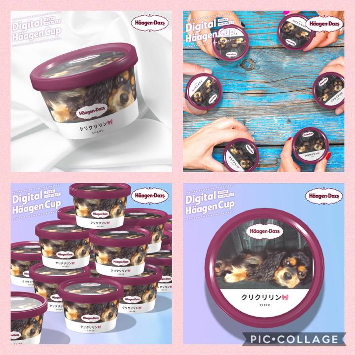 7b32d275 1c56 4334 aff5 098bfdccd39a 1607501302535