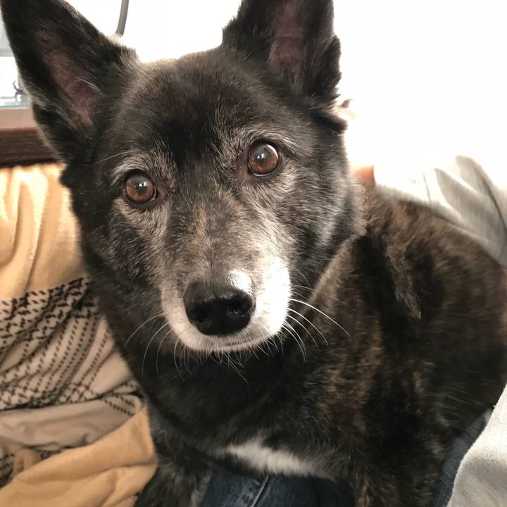 7b32da7d 4d7f 406e a394 6b2220f30ef7 1516103996864