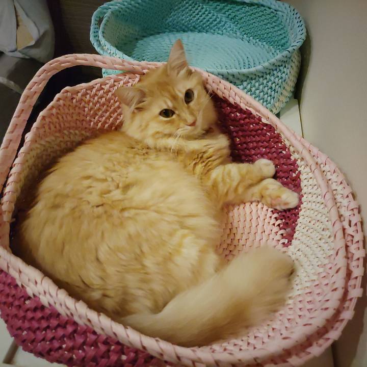 7b32dd25 368d 4f2b 8d81 45de4e12e2d9 1661515402331