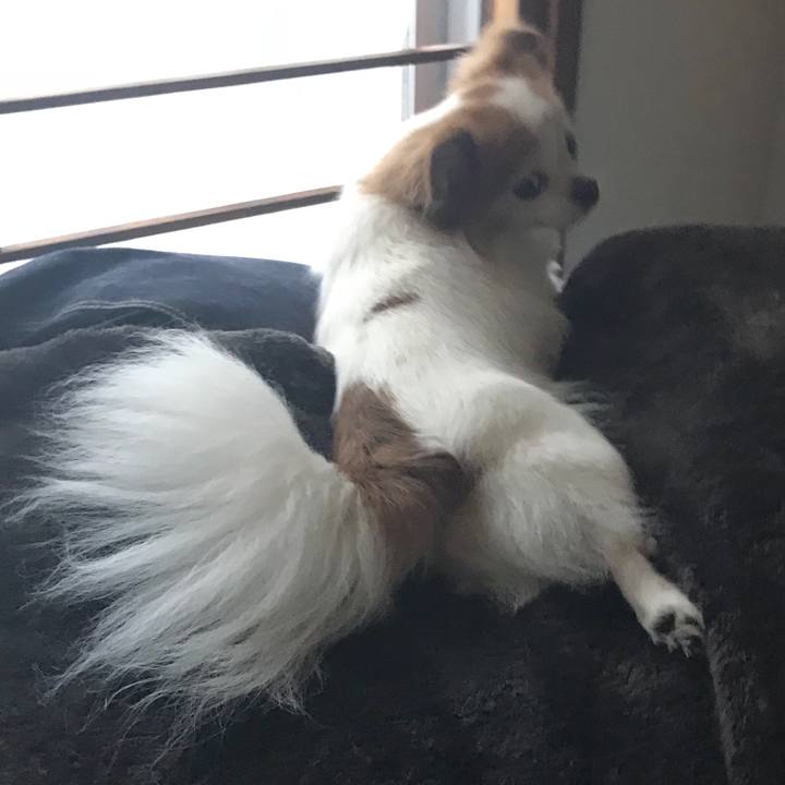 7b32f75d dbe3 43f5 876c 85389338c34f 1531540036954