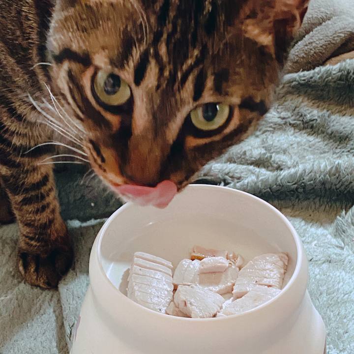 7b32fb54 0a28 40ad aee9 629f66f87677 1589684900660