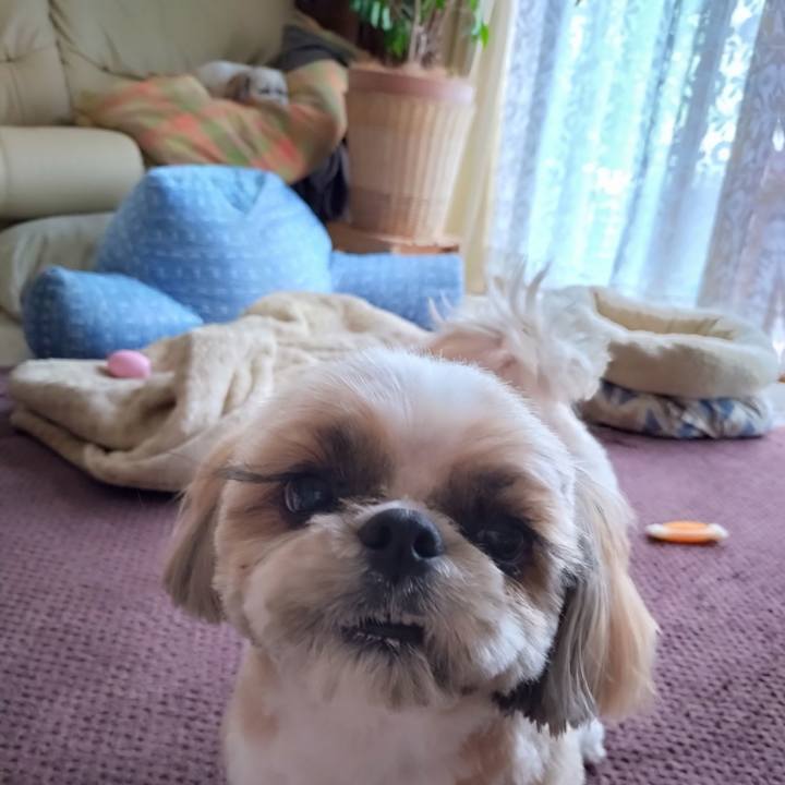 7b3303e7 3e58 4a60 b248 bf65566079ce 1717842447427