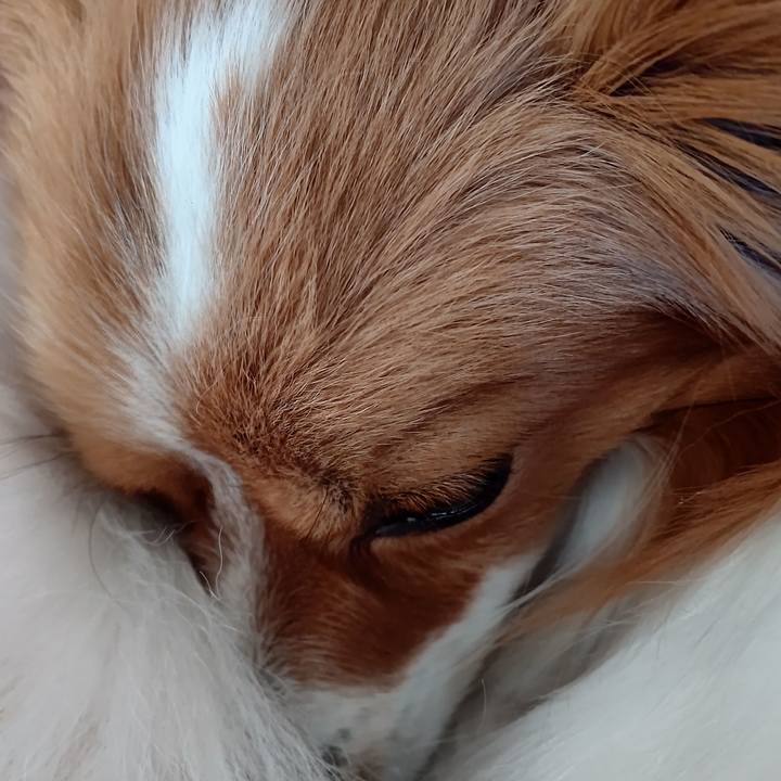 7b3356a9 a8ea 4852 95a7 397d904cf37d 1674306925271