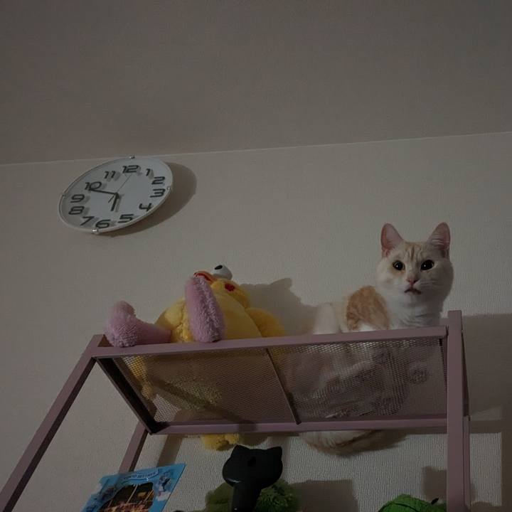 7b335bcd 8b36 4df0 9ee1 d66185972b3e 1697662277937