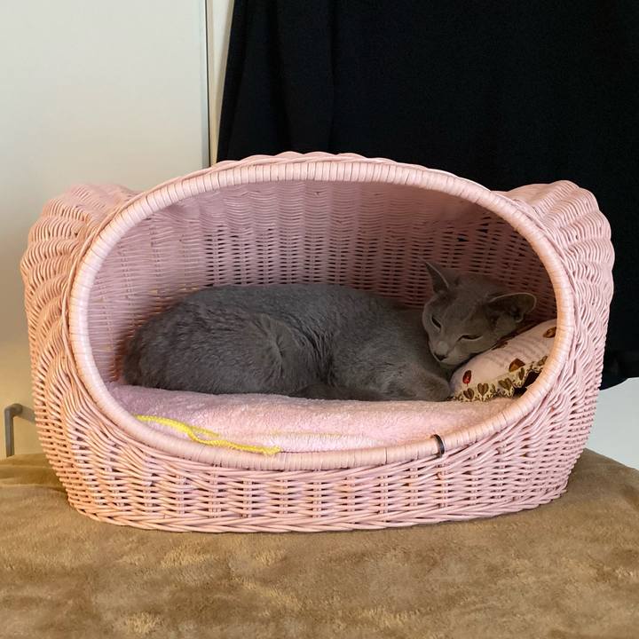 7b335e96 4042 44f7 a00a 8a11989ee482 1684121080186