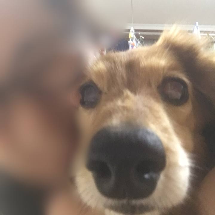 7b336b4f 563c 4e72 8974 e96c037c8b4f 1623499056013