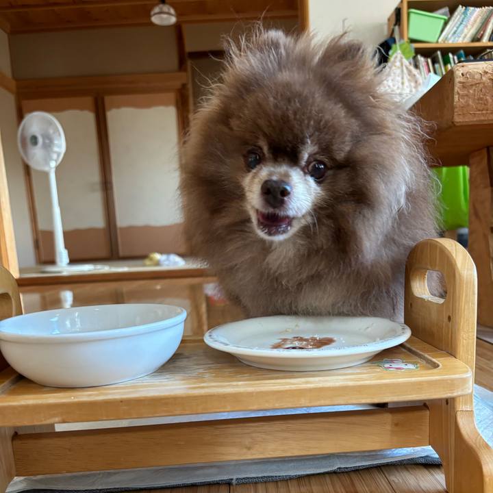 7b337cac f6de 4119 95d2 61fbe8a3ea70 1755416120528