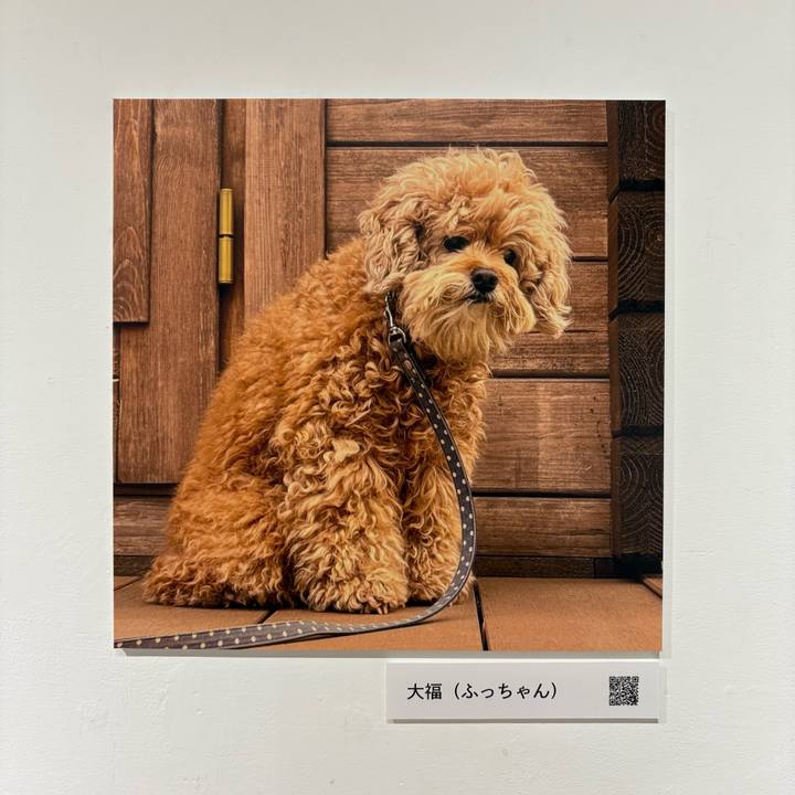 7b33839a b057 448e adce 53c3907c3746 1761651003573