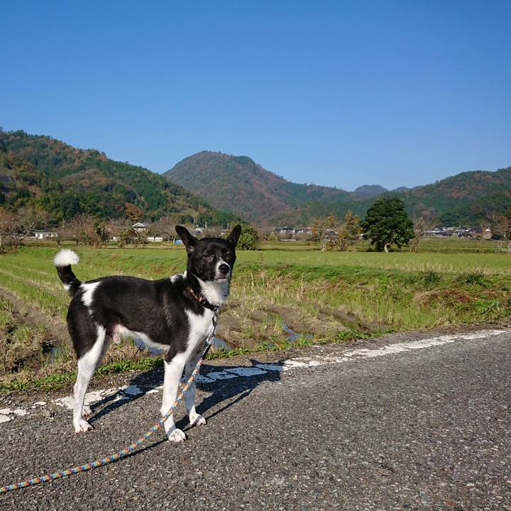 7b338877 cd58 4122 b5b9 1983eb59bd2d 1509929366697