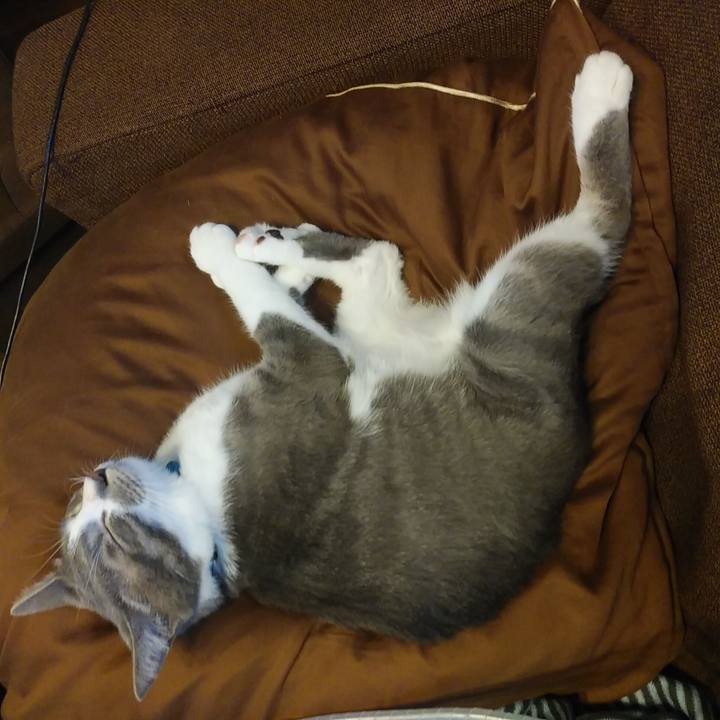 7b3388e5 ac93 4093 9058 ed9ec6800245 1592552013459