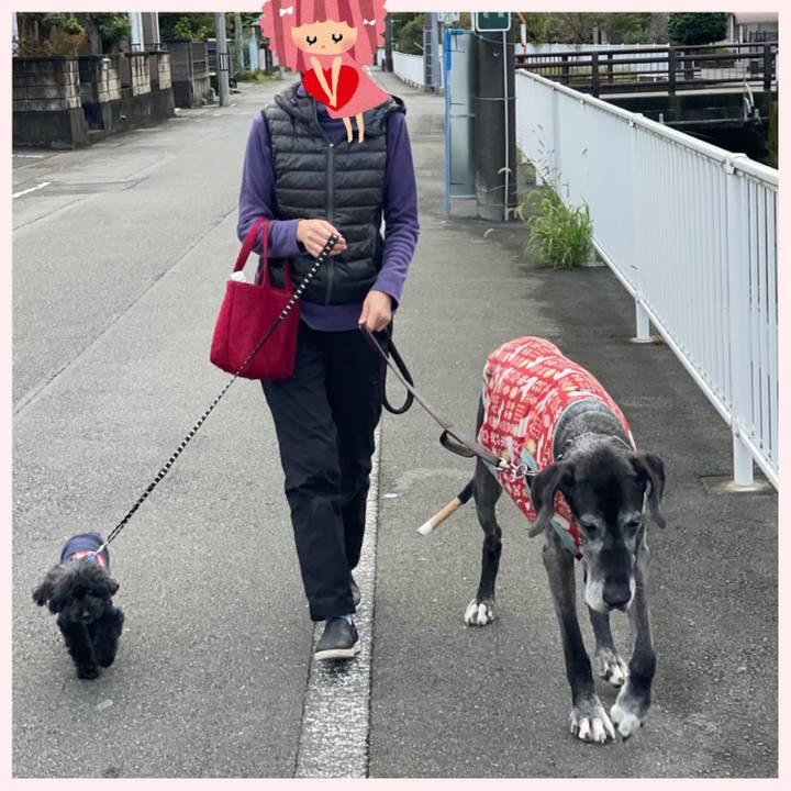 7b33dd64 10b5 4974 a1e8 eb28d3a17e7c 1665443818792