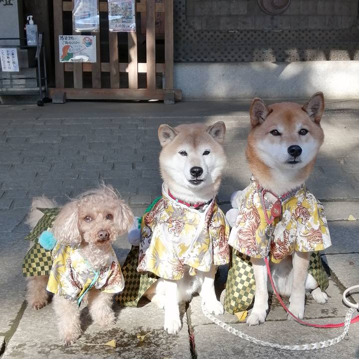 7b33e4b9 c923 4c2f 9705 8123057c5ae3 1639054040289