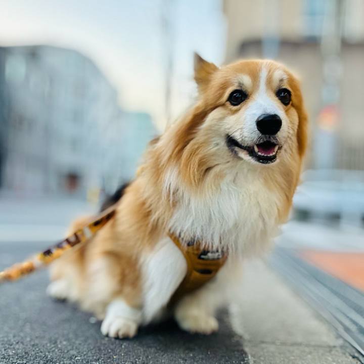 7b33e500 c838 41f8 8b7c b22f4a8318f4 1768705915708