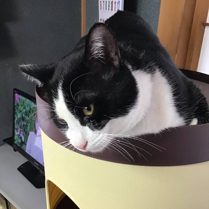 7b34047b 6780 41f3 a1b8 5f07a9dea17d 1644802994956