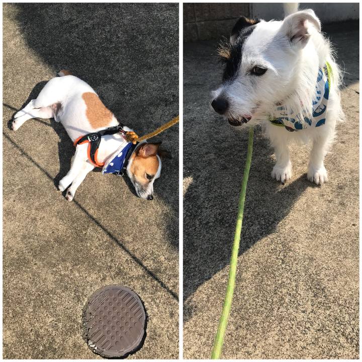 7b342158 0f6a 45b5 a634 2673b8707e23 1531697680244