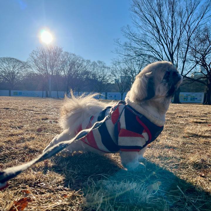 7b342b9a d56c 4cf9 aff0 e318f42d1bf4 1736729124102