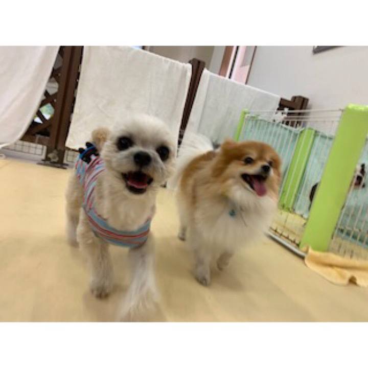 7b342e09 bd0b 4ca7 9231 d2ed49a40542 1552989401841