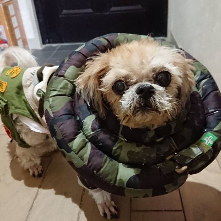 7b347439 71fb 4dd3 8104 0e8cd40e80cd 1649431494399