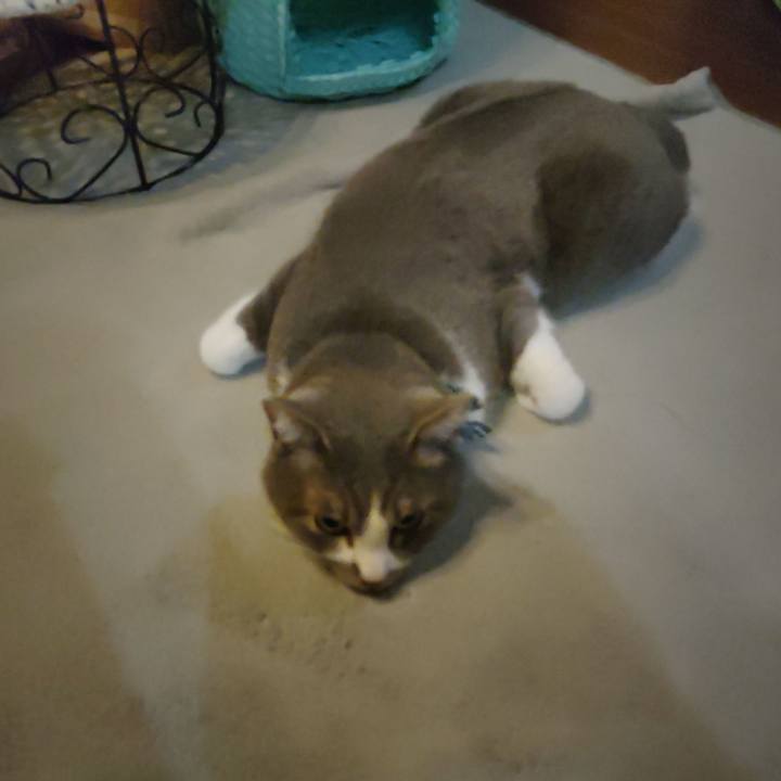 7b34773e 9cfb 4697 bc4a 4089a53a808e 1682945361960