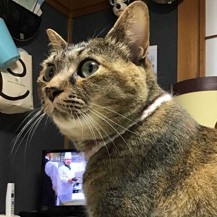 7b347f24 52e6 4975 b355 5aa68c7a7b8a 1656890323117