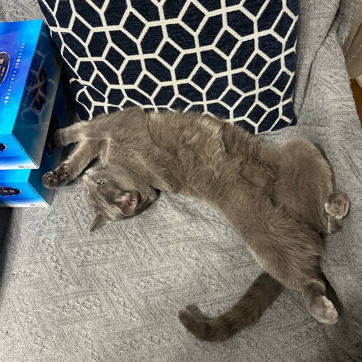 7b348fcb fe29 41b9 ae43 8a4eeb2a95ce 1709277339601