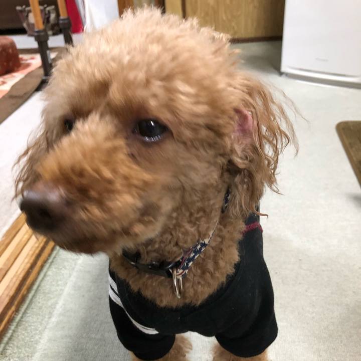 7b3490a2 1278 4988 ac5a 7022a9e27534 1618128809588