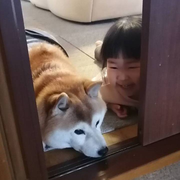 7b34ae7d b6d6 4f8a 9bc5 cdda00418a15 1672363979237