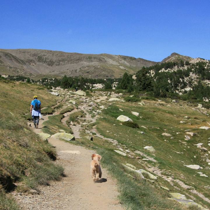 7b34b020 604c 4e17 9de5 b2507926d85c 1537904050919