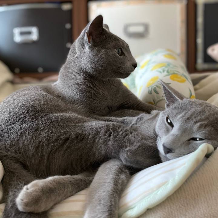 7b34b8ae 5e3c 4c72 b2d2 5e4abc9f5ed2 1627212686808