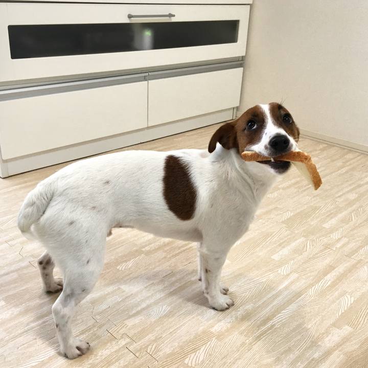 7b34c5f3 8126 42cf a97a 7c19a66d20ba 1517131607023