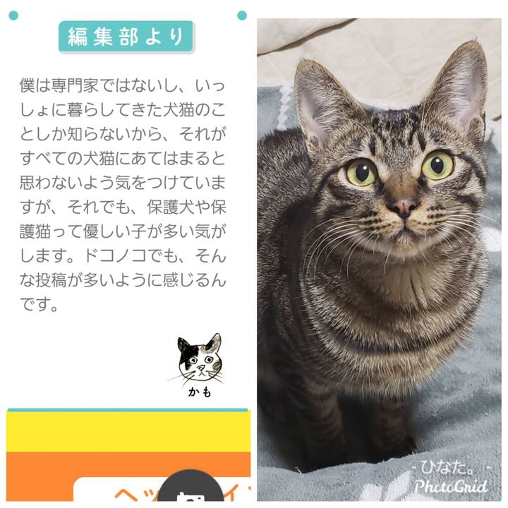 7b34e6d3 92cb 4c6c 9533 c172f18bb477 1572878596337