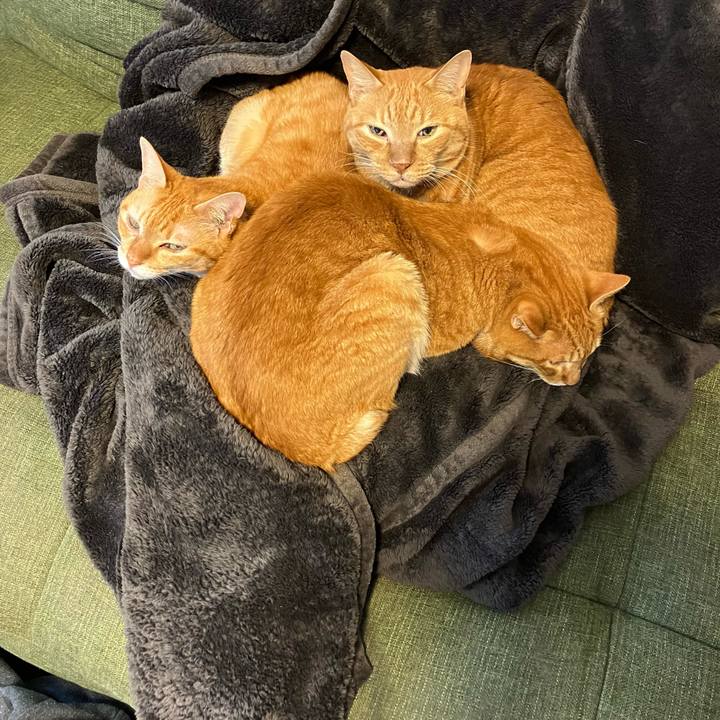 7b3578d6 12d7 4606 80c0 292cd9d5a1d9 1761106307477