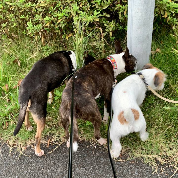 7b357c87 5114 4a44 91cf 0fdc41d1f0be 1600600038703